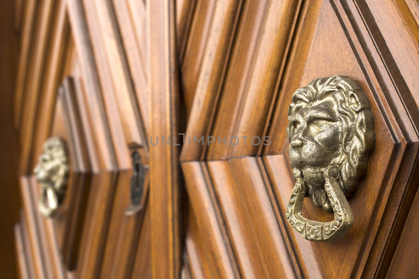 Lion head knockers by photosampler