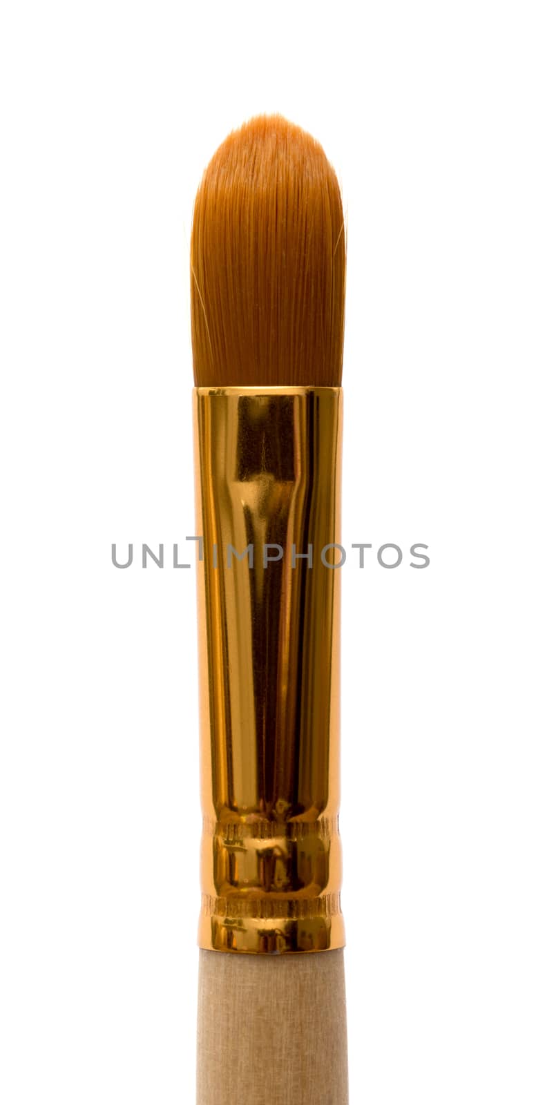 Paint brush isolated on white background by DNKSTUDIO