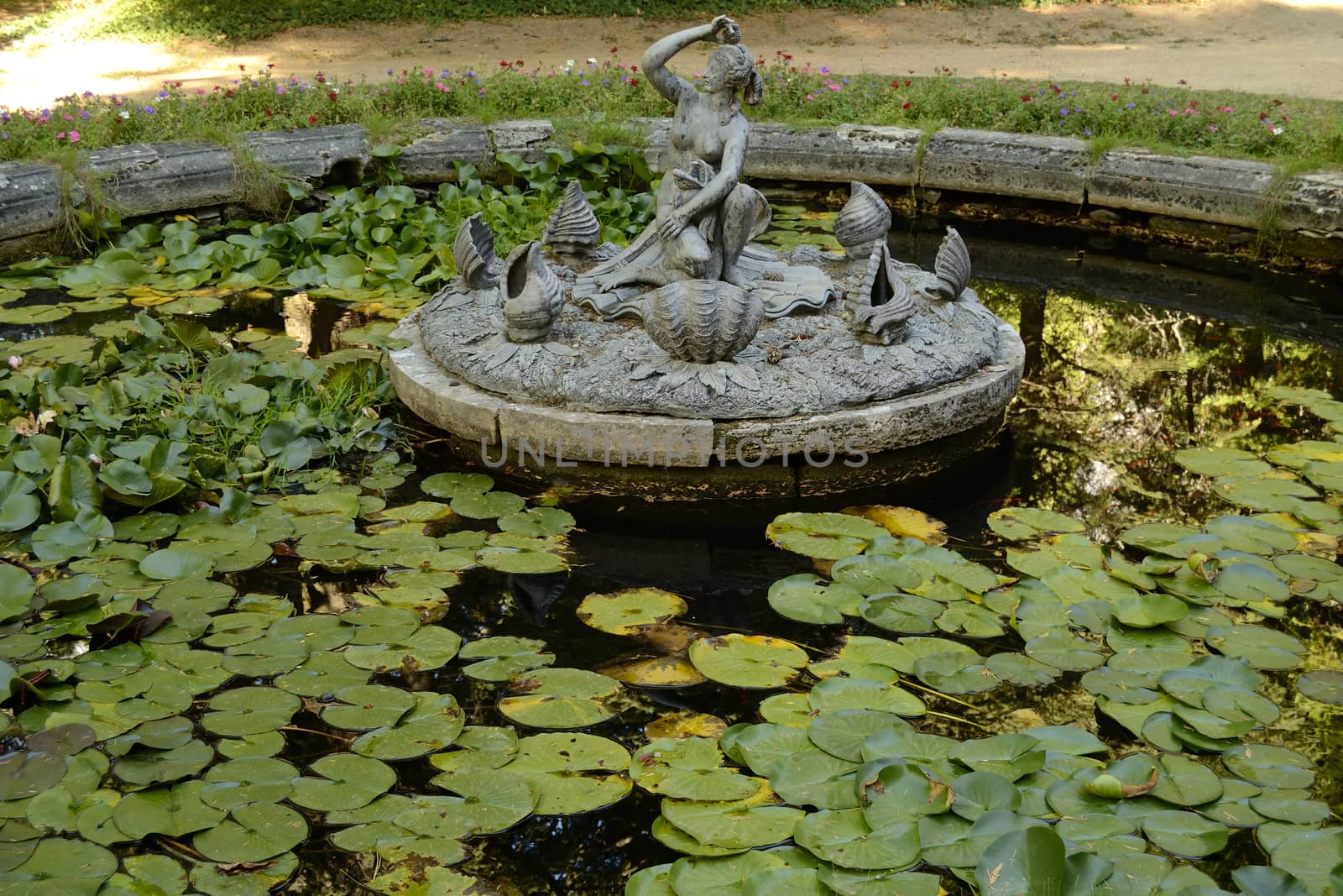 fountain with waterlilies. La Granja de San Ildefonso, Segovia, Spain