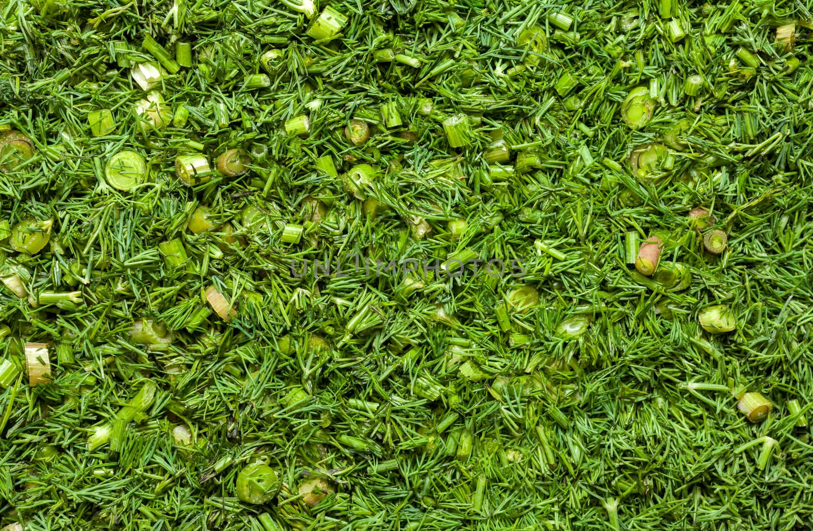 Fresh dill sprigs on wooden board cutting with knife