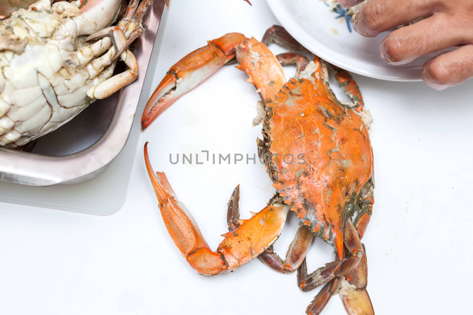 Cooked blue crabs by Portokalis