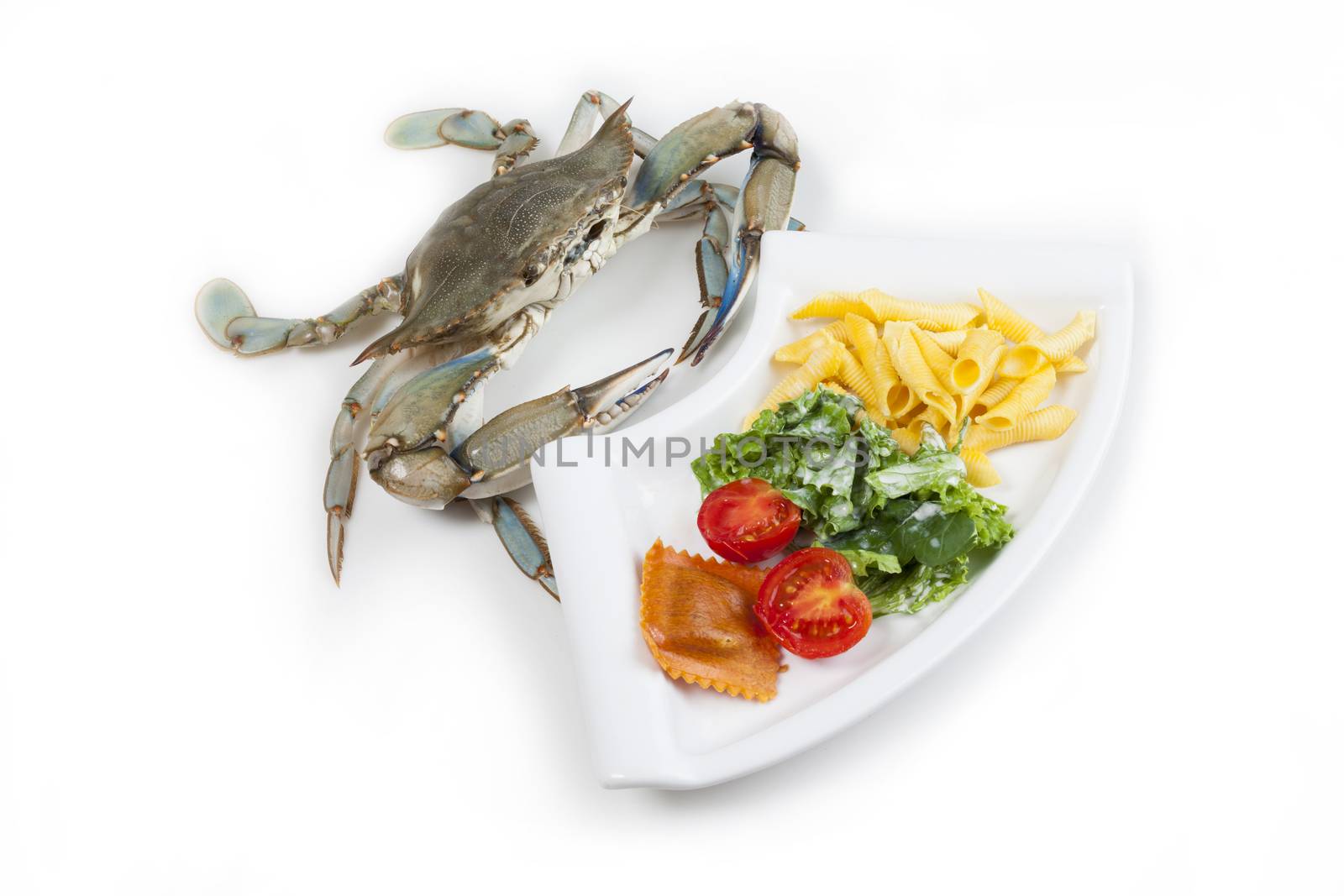 Blue crab on white background ready to eat a meal