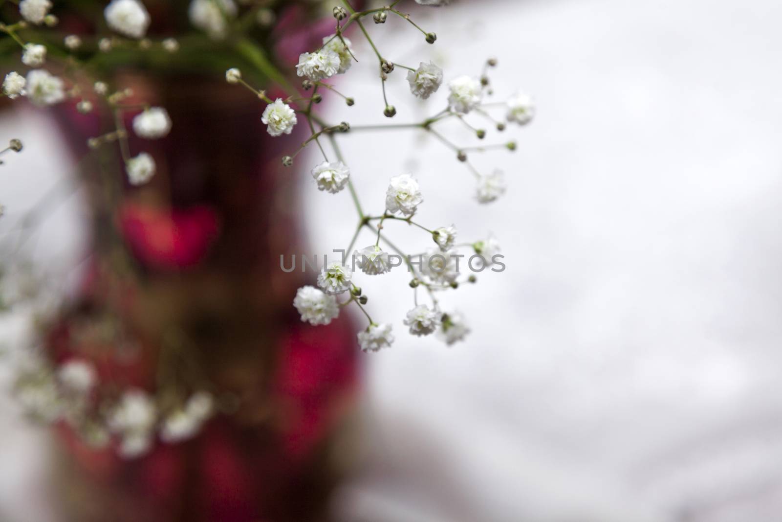 Bouquet of flowers in a vase by Portokalis