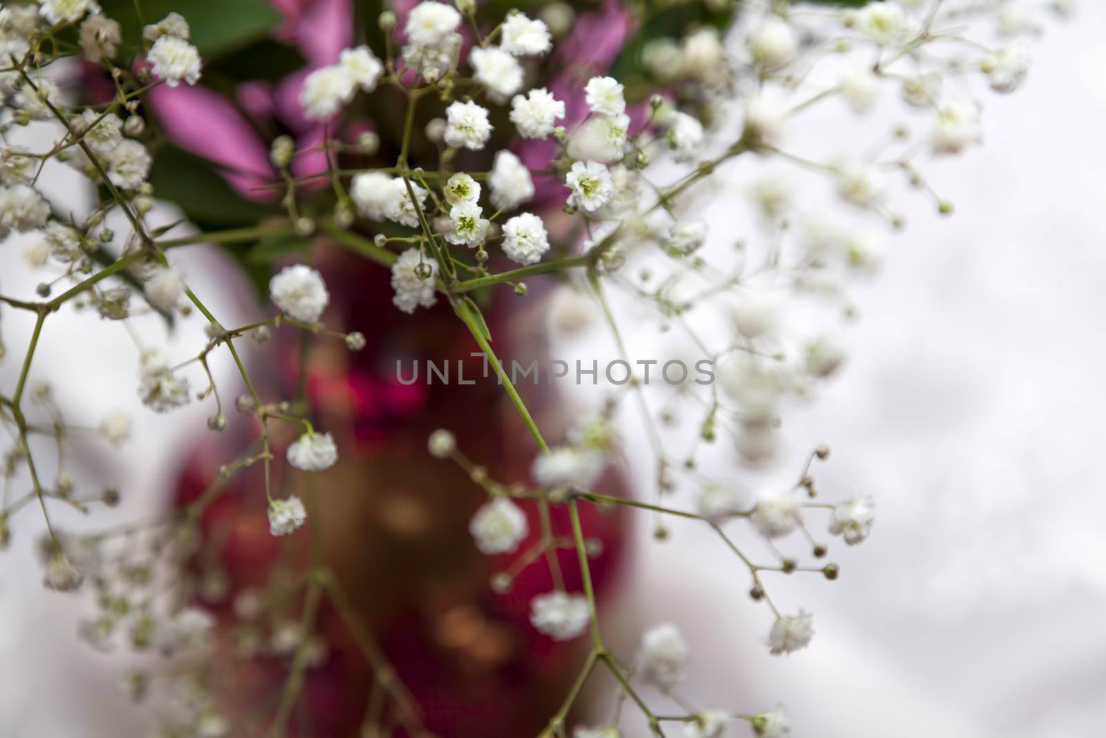 Bouquet of flowers in a vase by Portokalis