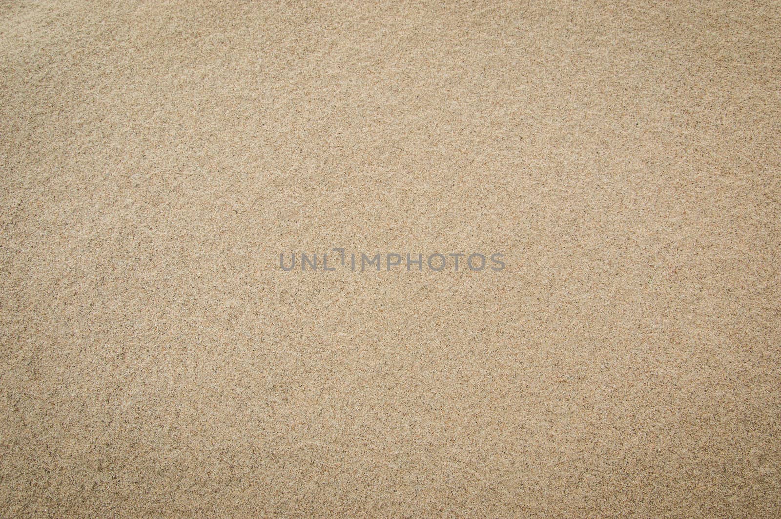 Sand texture for background. Top view