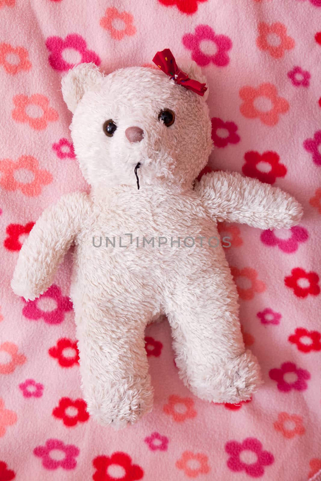 Little fluffy teddy bear by Portokalis