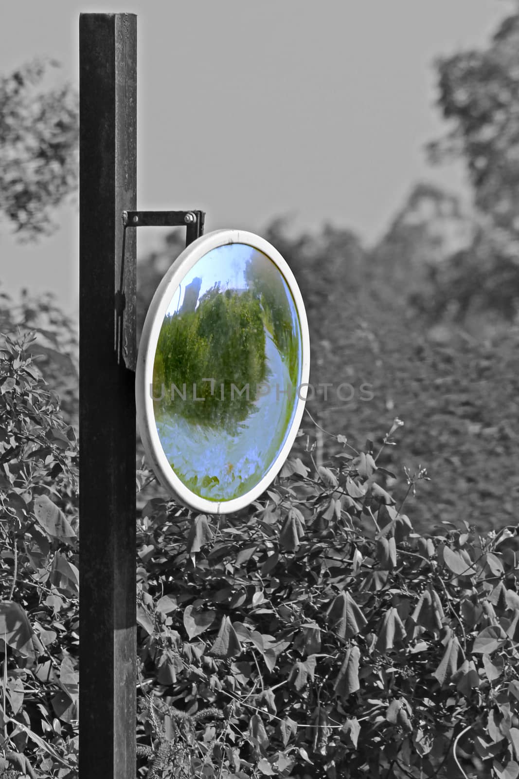 Outdoor Convex Mirror by yands