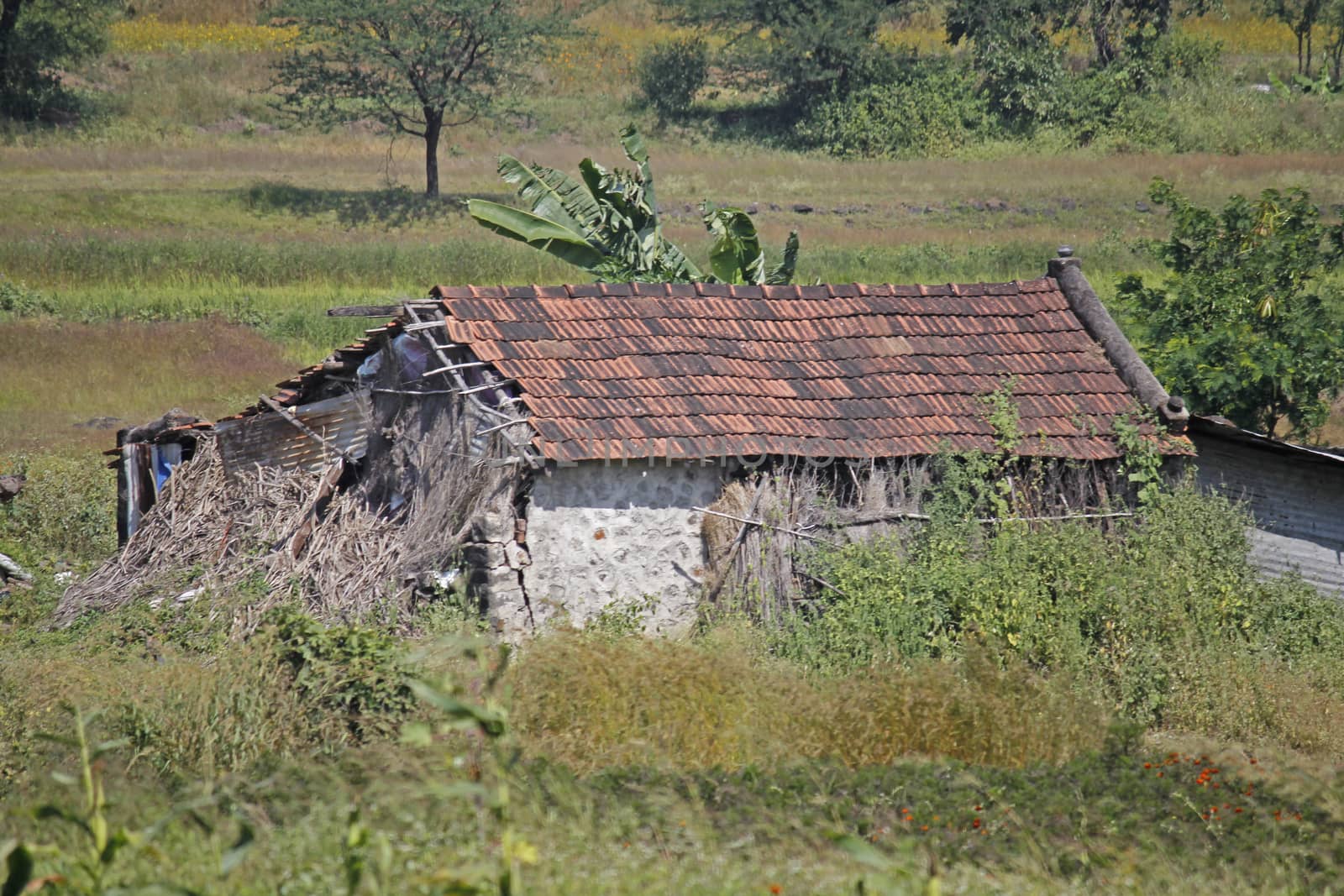 Rural, damaged house by yands