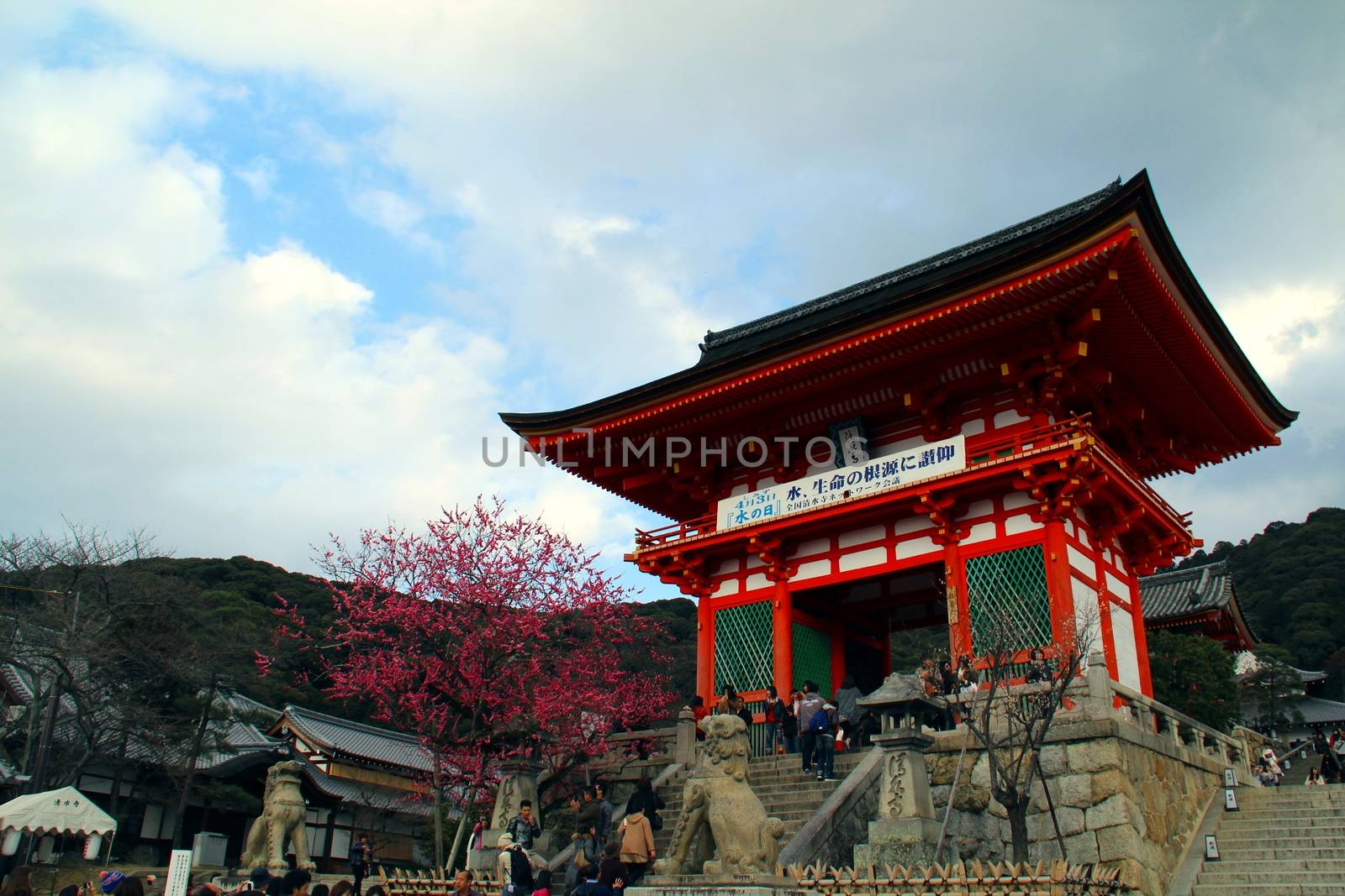 Old Japanese temple by Dermot68