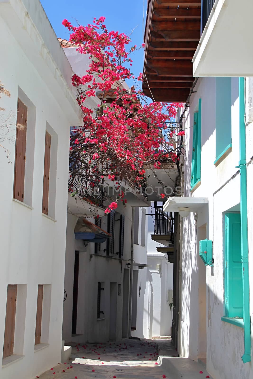 Greek old village houses by Dermot68