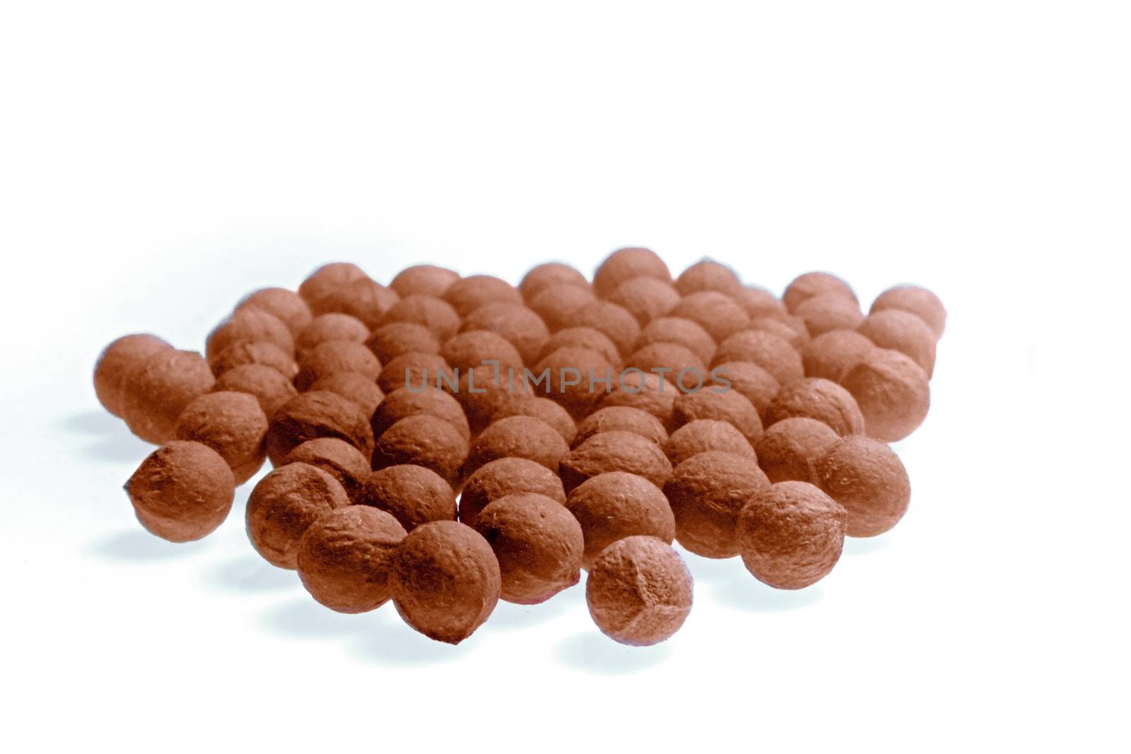 Seeds of sandalwood tree. Santalum spicatum, Australian sandalwood is a tree traded as sandalwood, and its valuable oil has been used as an aromatic, a medicine, and a food source. S. spicatum is one of four high-value Santalum species.