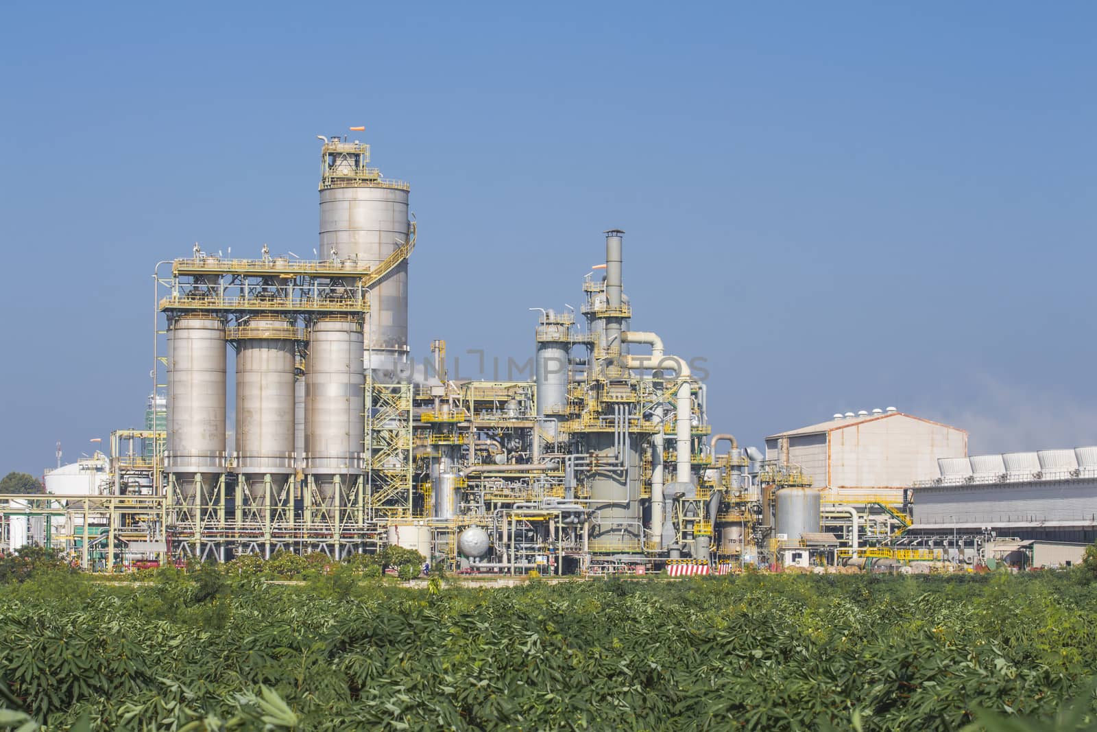 Silos in chemical factory with blue sky 