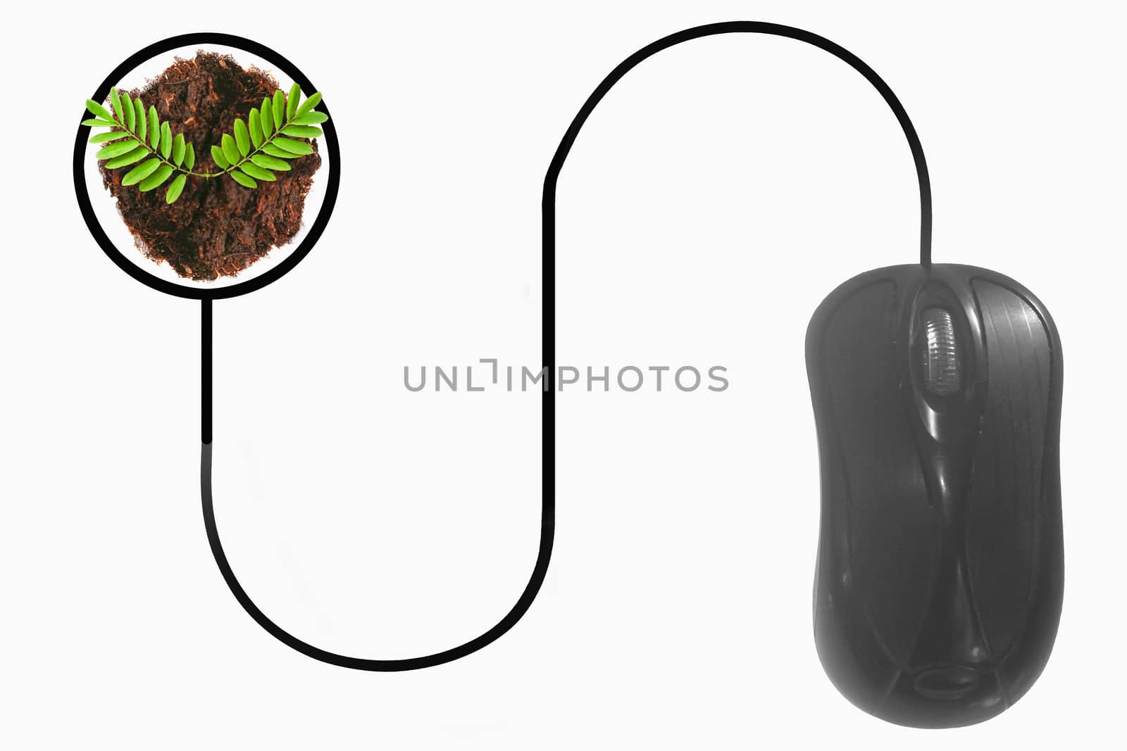 Plant depicted by computer mouse cable