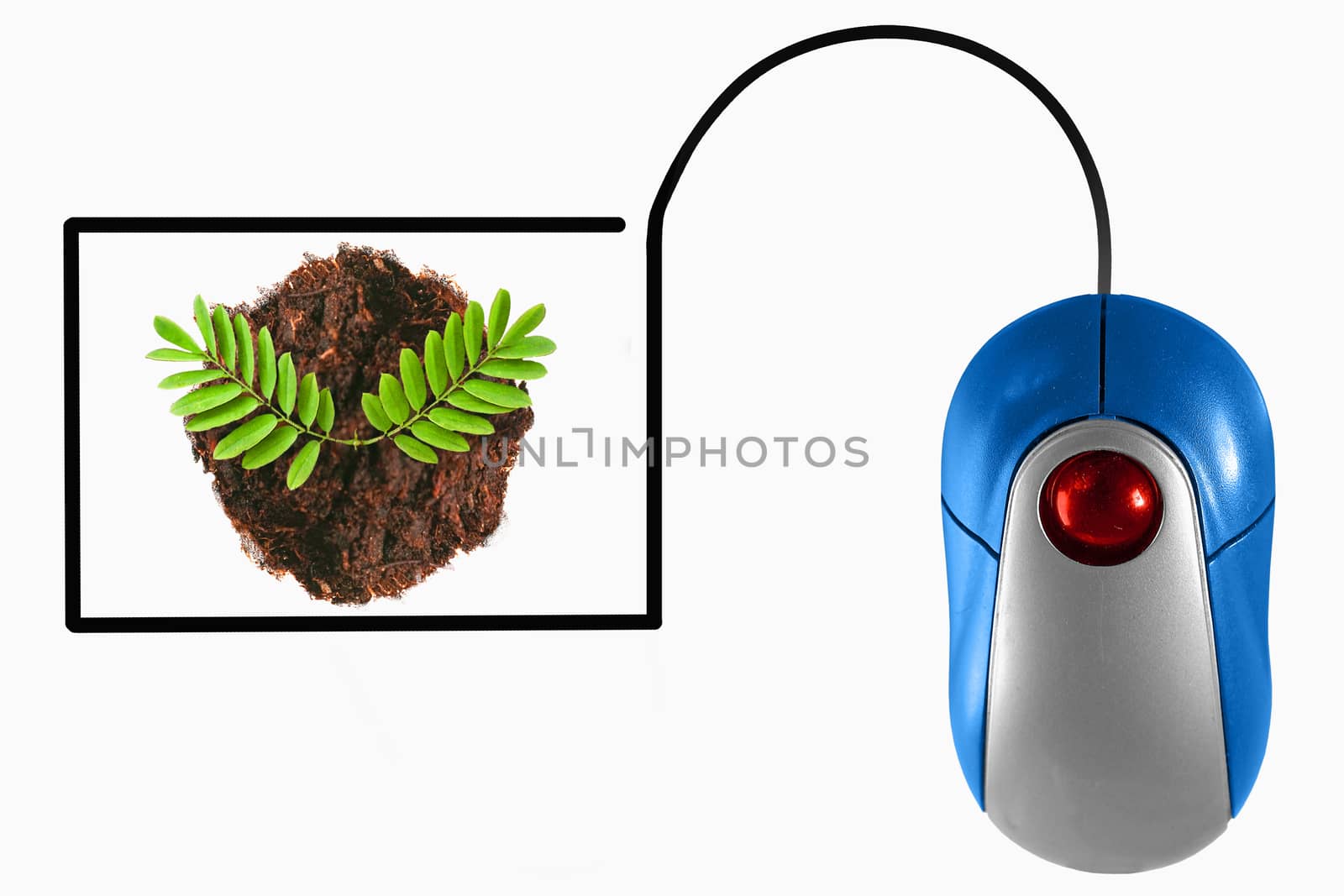 Plant depicted by computer mouse cable