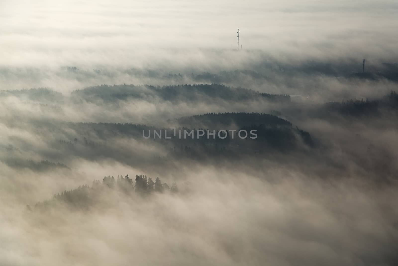 Foggy landscape from high poin of view