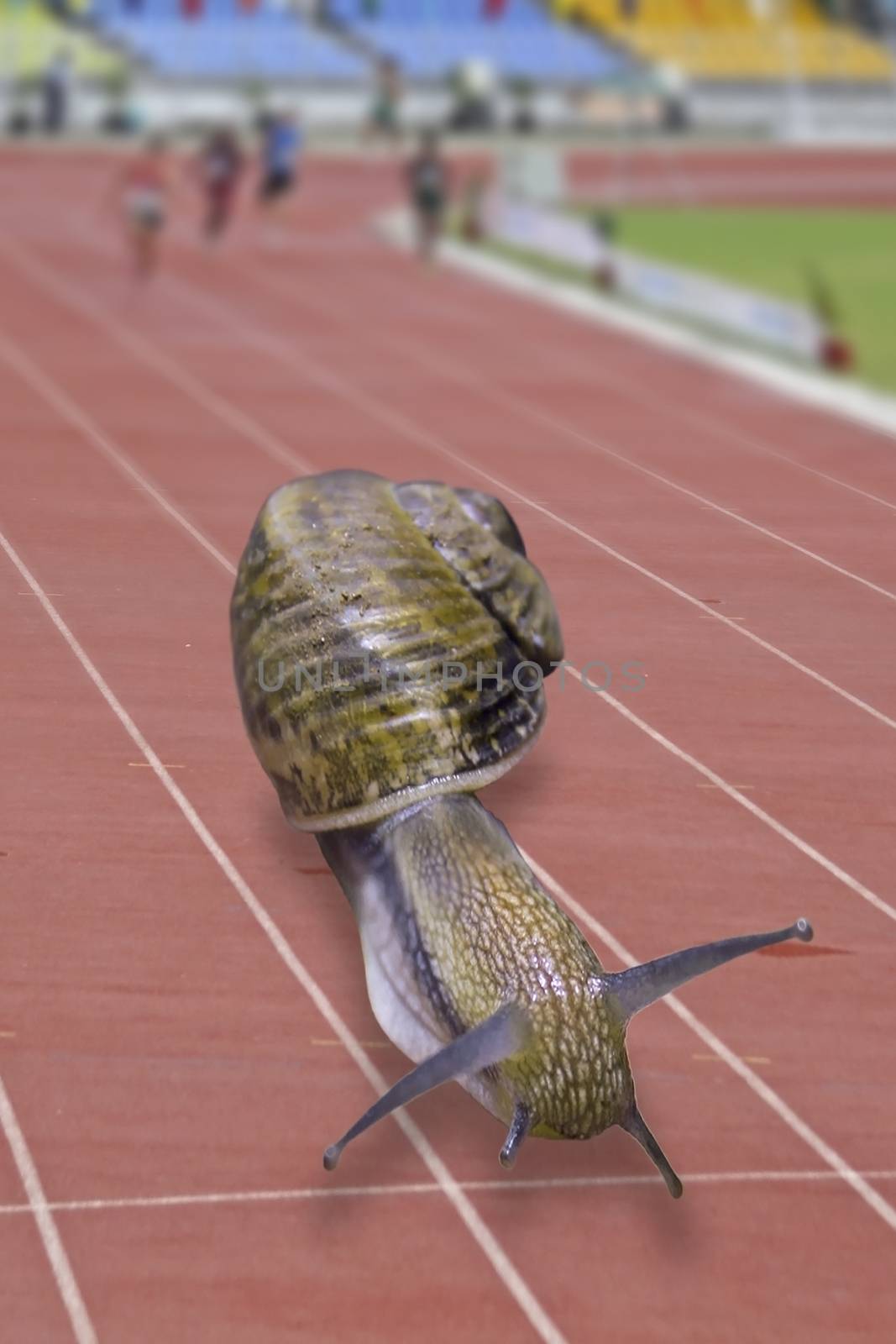 Snail running on track
