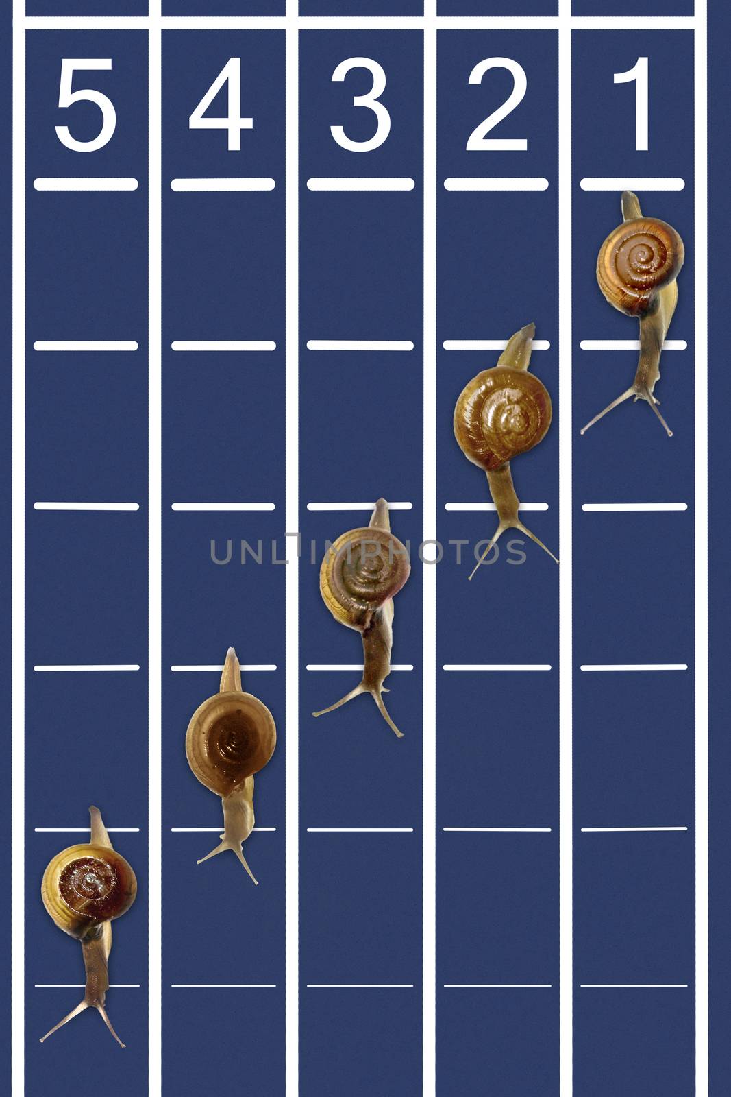 Snails running on track