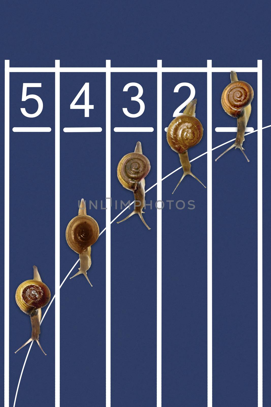 Snails running on track