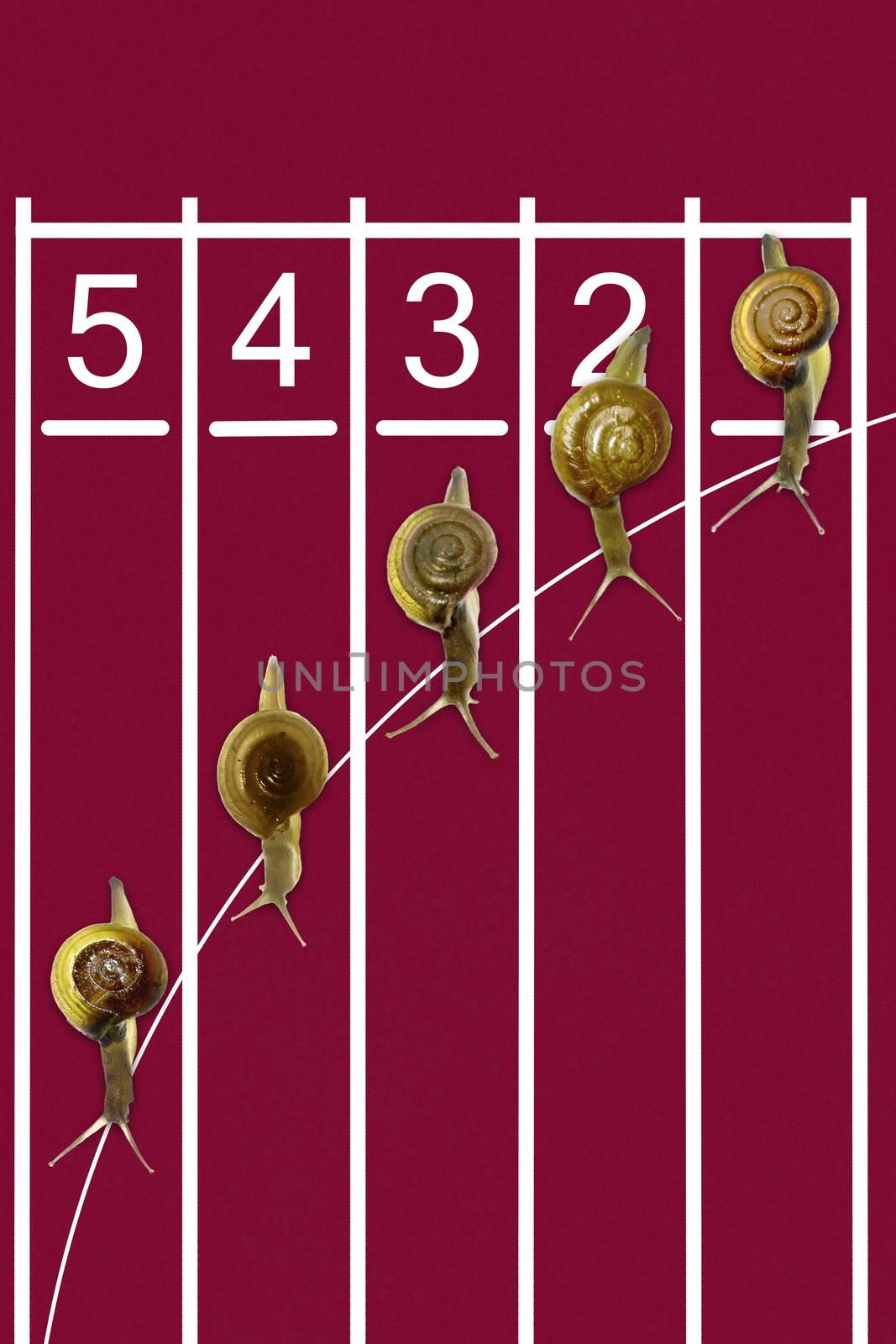 Snails running on track