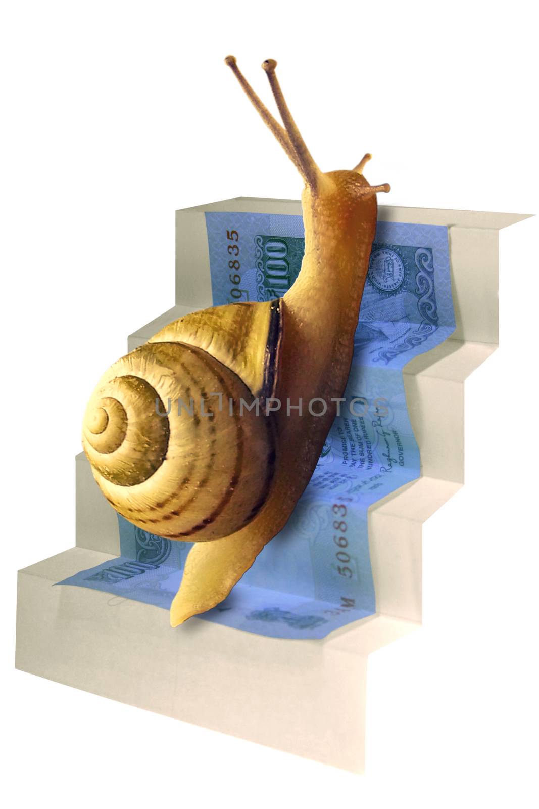 Snail on Staircase