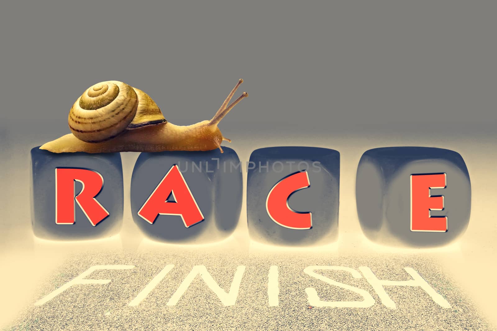Snail Race, Concept