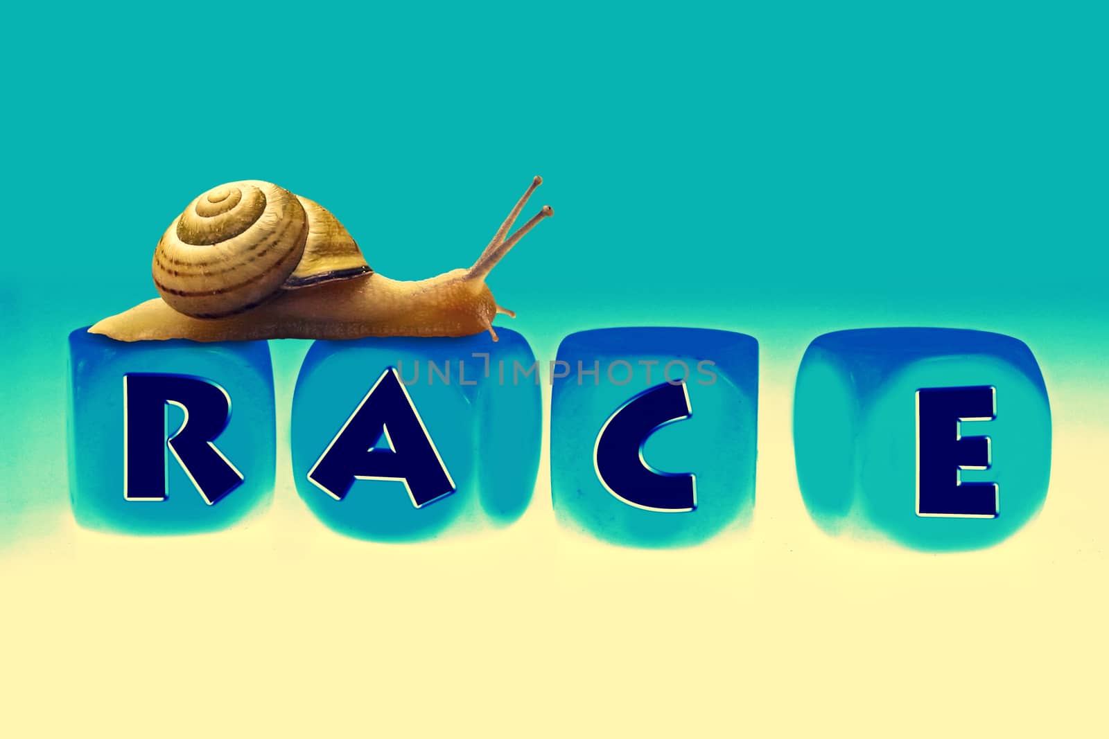 Snail Race, Concept