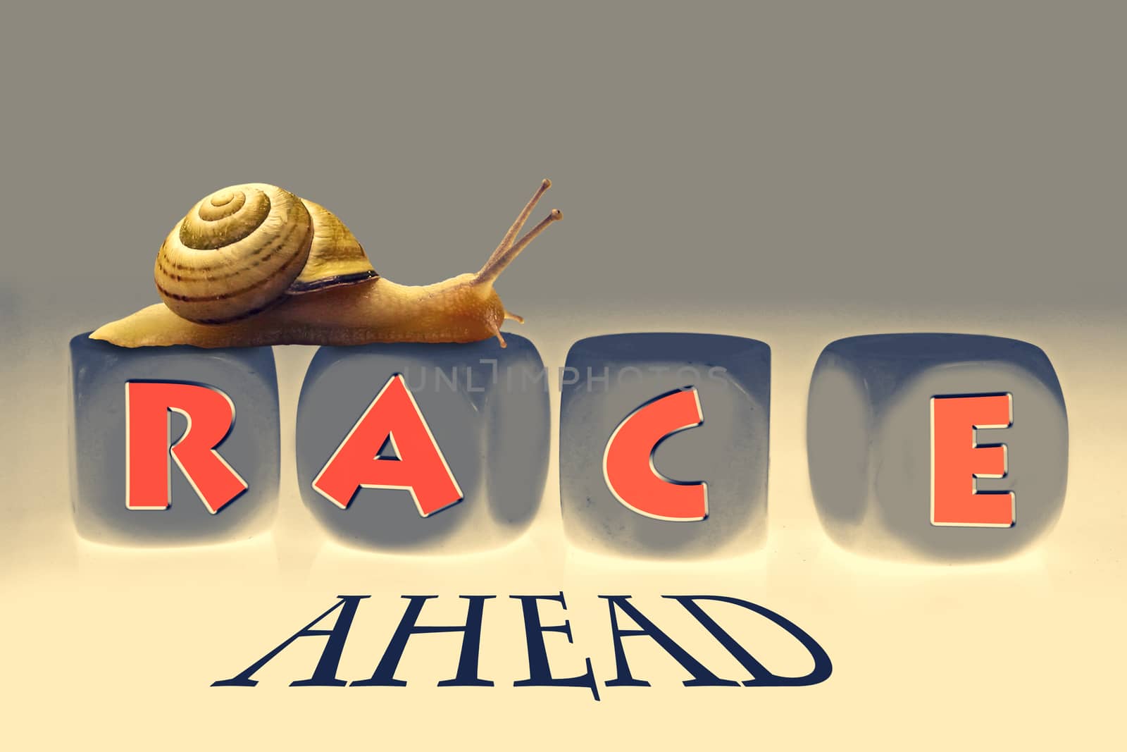 Snail Race, Concept