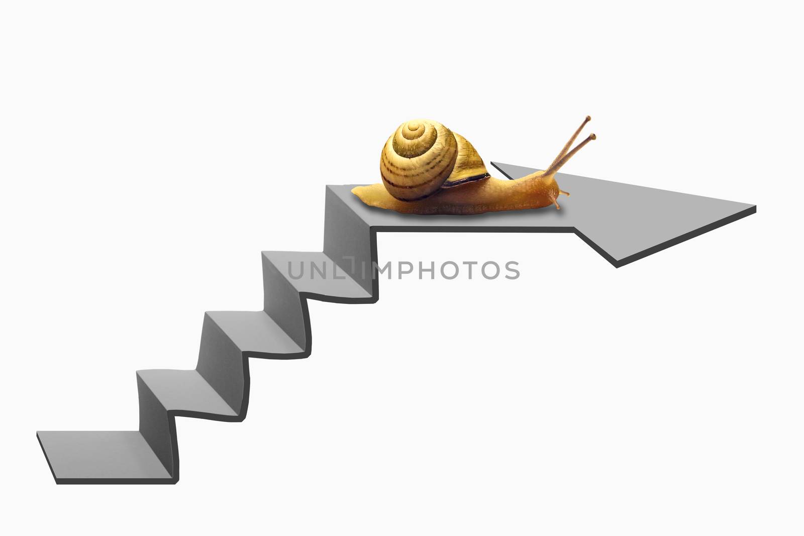 Snail on Staircase