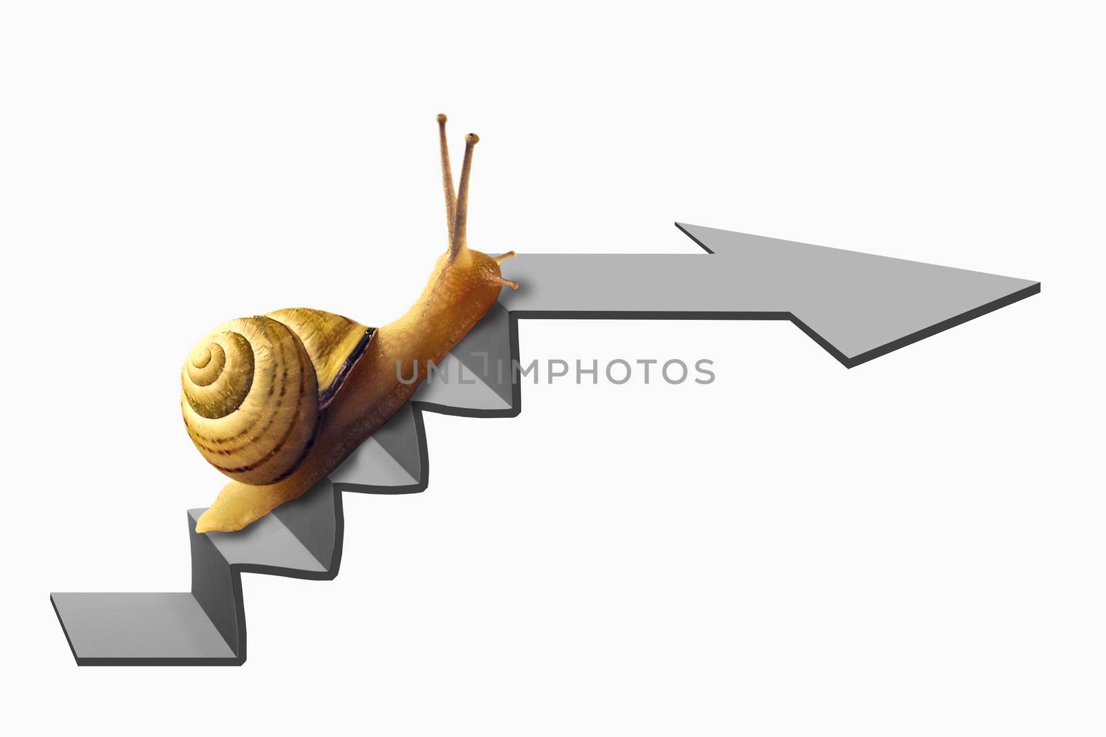 Snail on Staircase