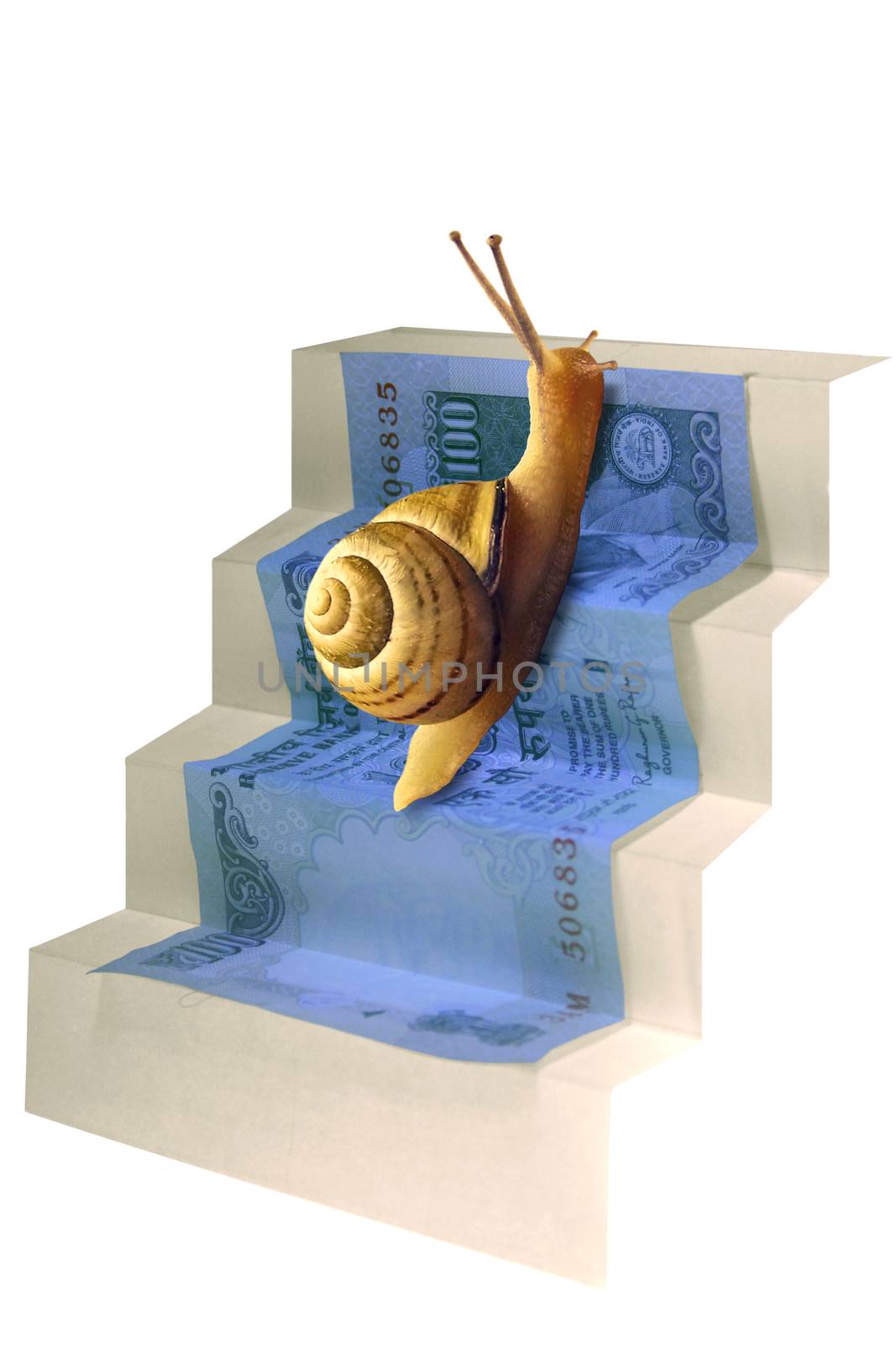 Snail on Staircase