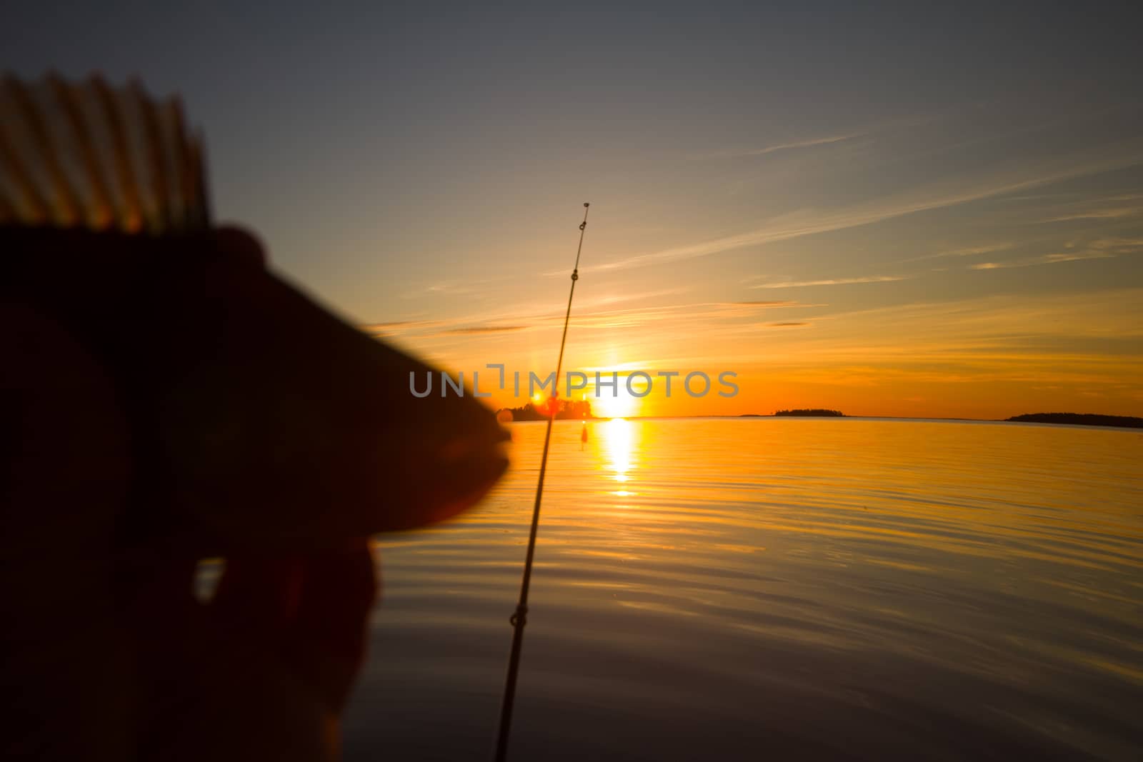 Sunset river perch fishing with the boat and a rod by max51288
