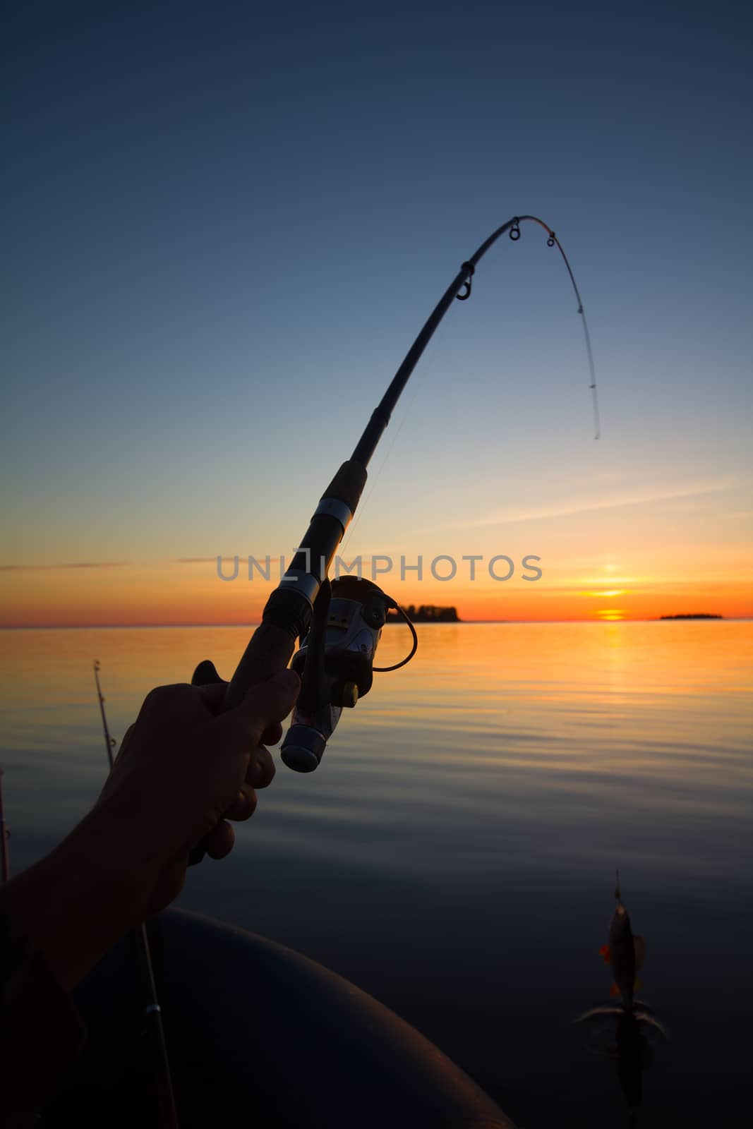 Sunset river perch fishing with the boat and a rod by max51288