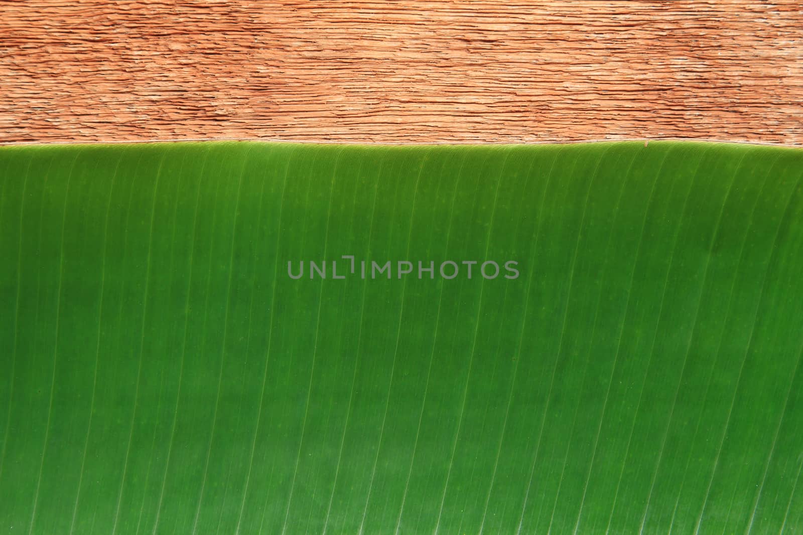 Banana leaf on the wooden board by foto76