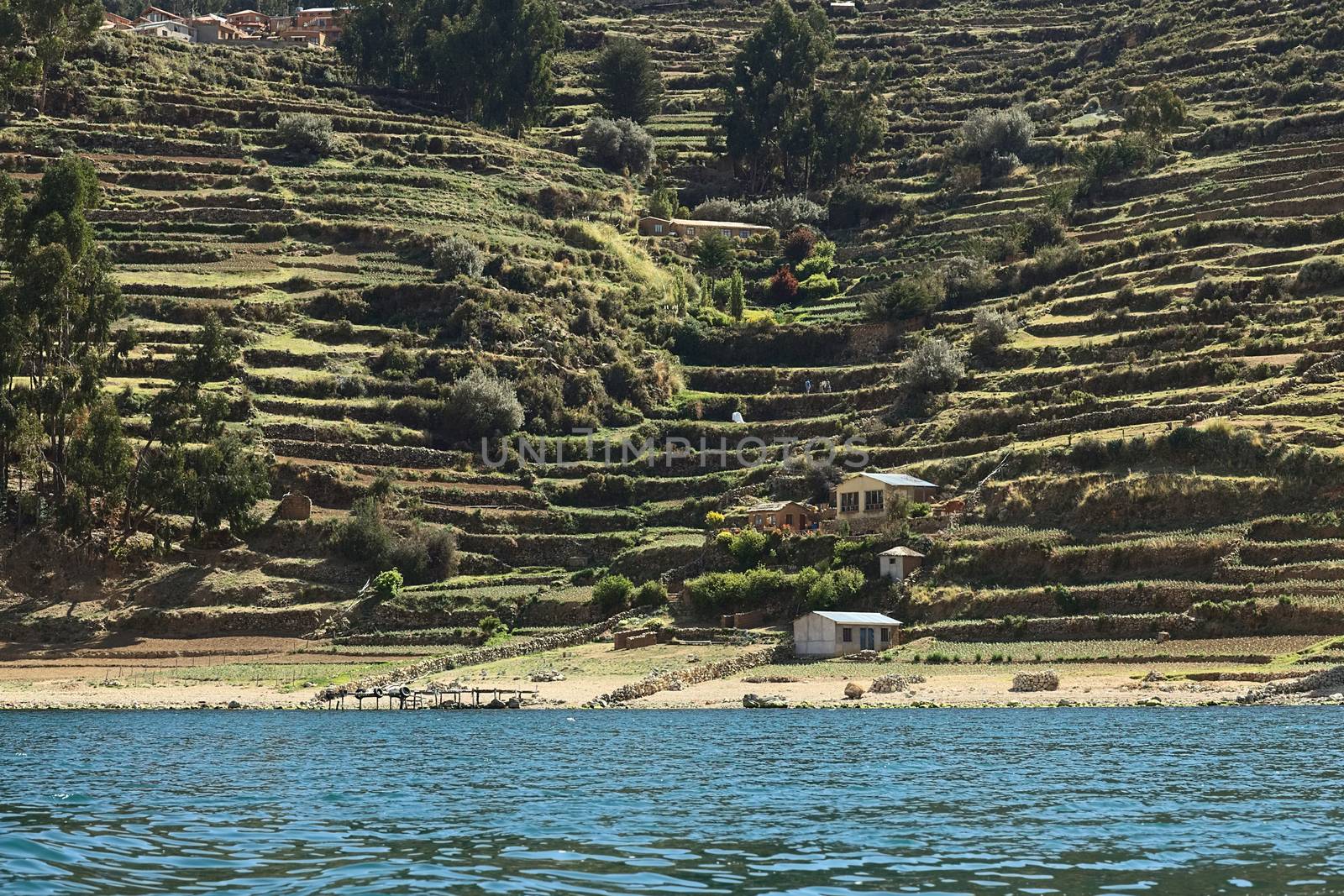 Shoreline of Isla del Sol in Lake Titicaca, Bolivia by ildi