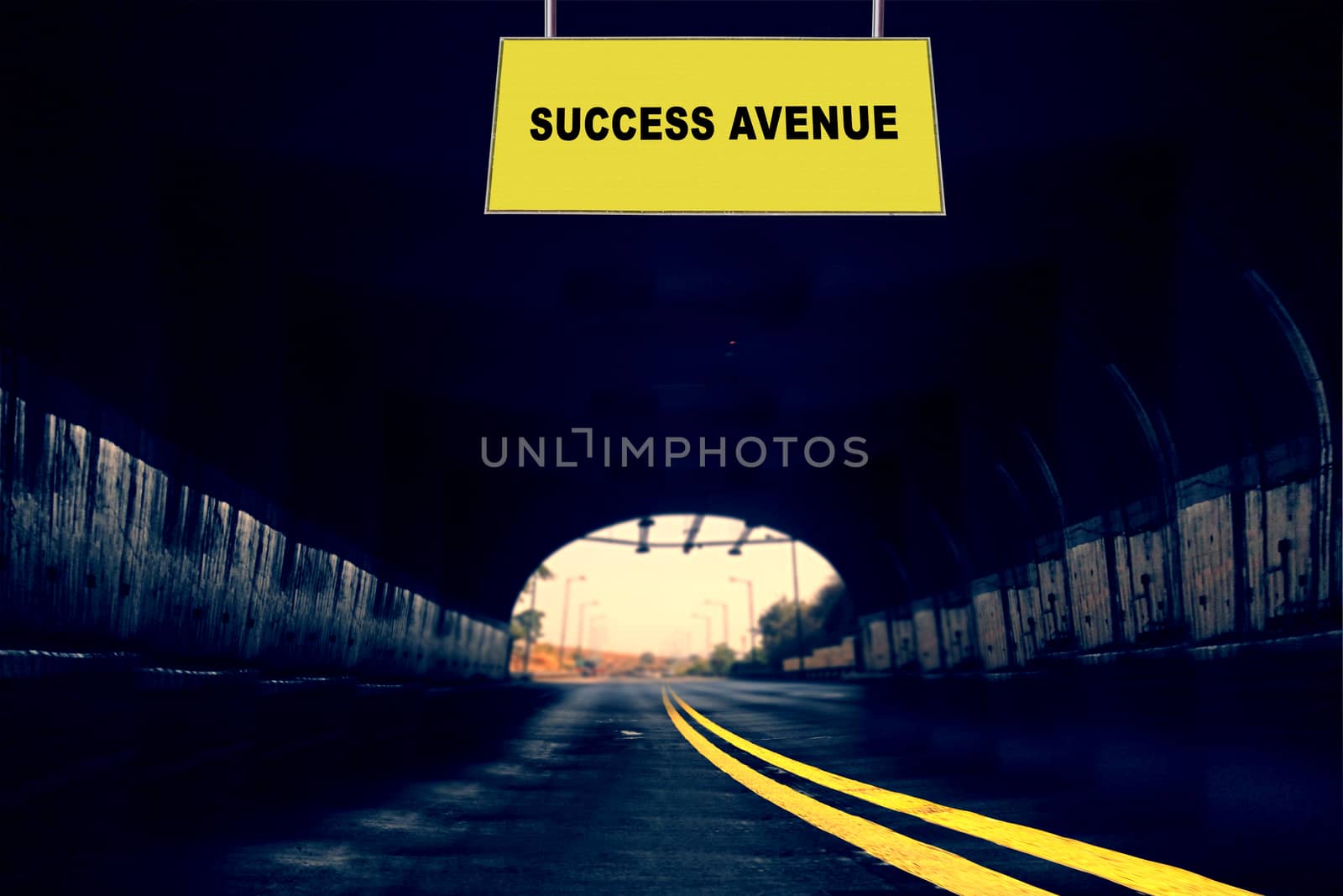 Success Avenue, Concept by yands