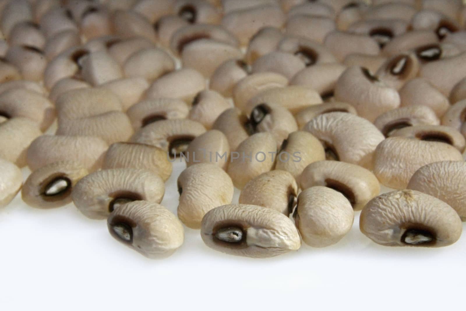 dried Black-Eyed Peas, Cowpea