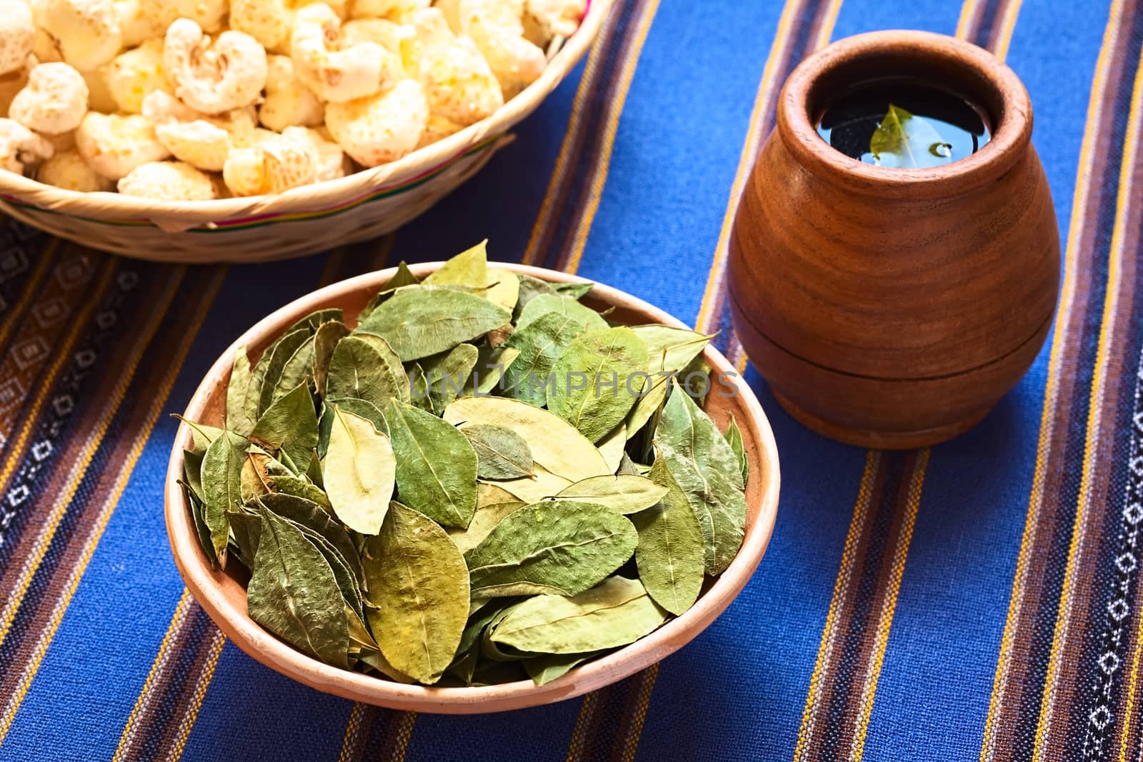 Dried Coca Leaves and Tea by ildi