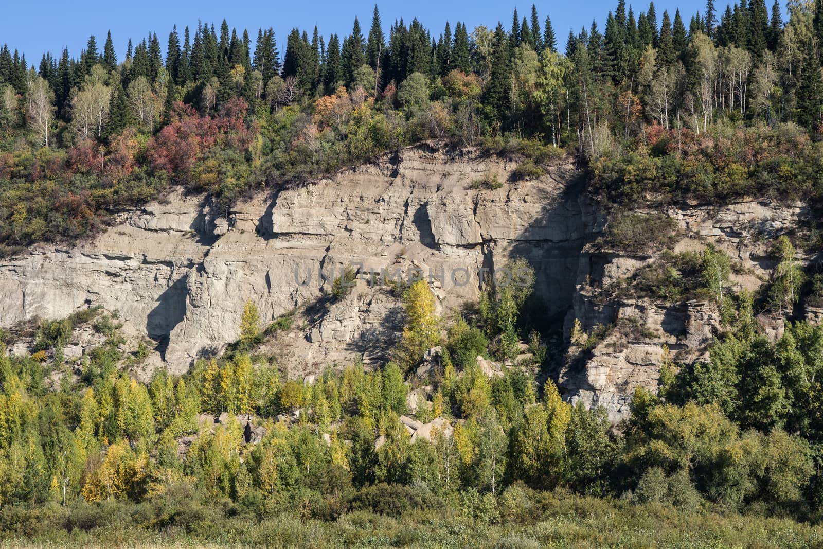 rock, overgrown vegetation on the background of blue sky
