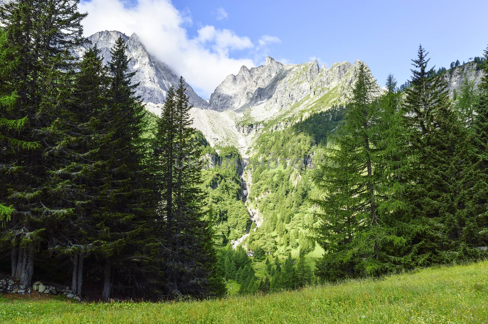 Mountains landscape in summer season by Mdc1970