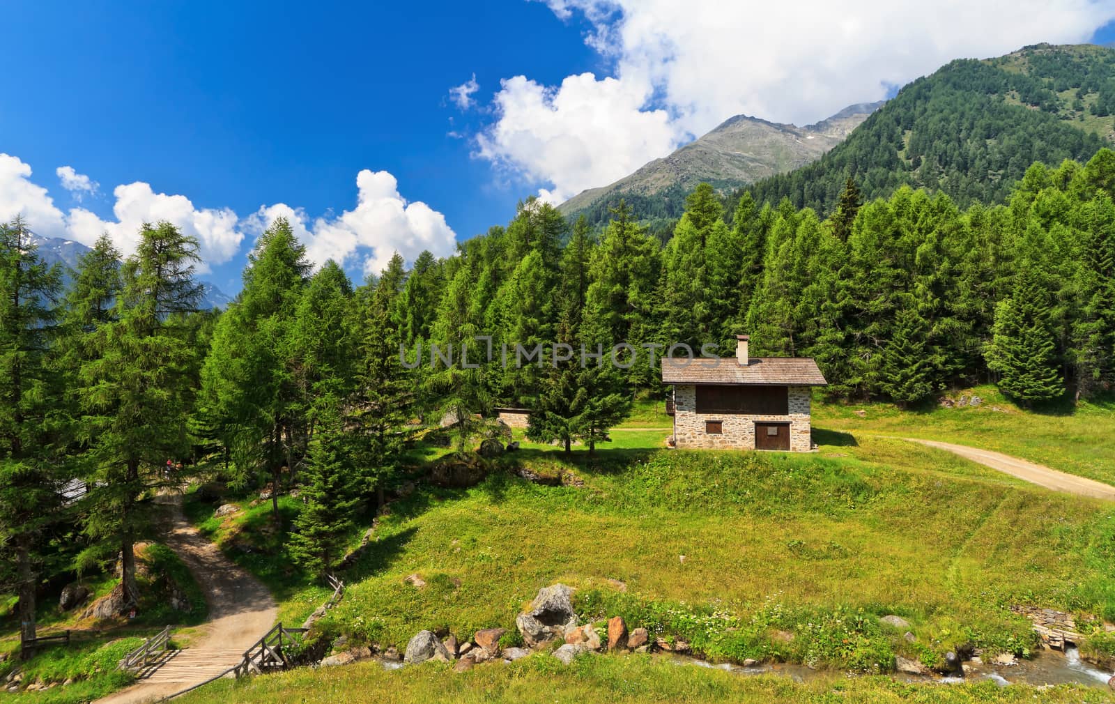 summer view of Pejo valley, Trentino, Italy