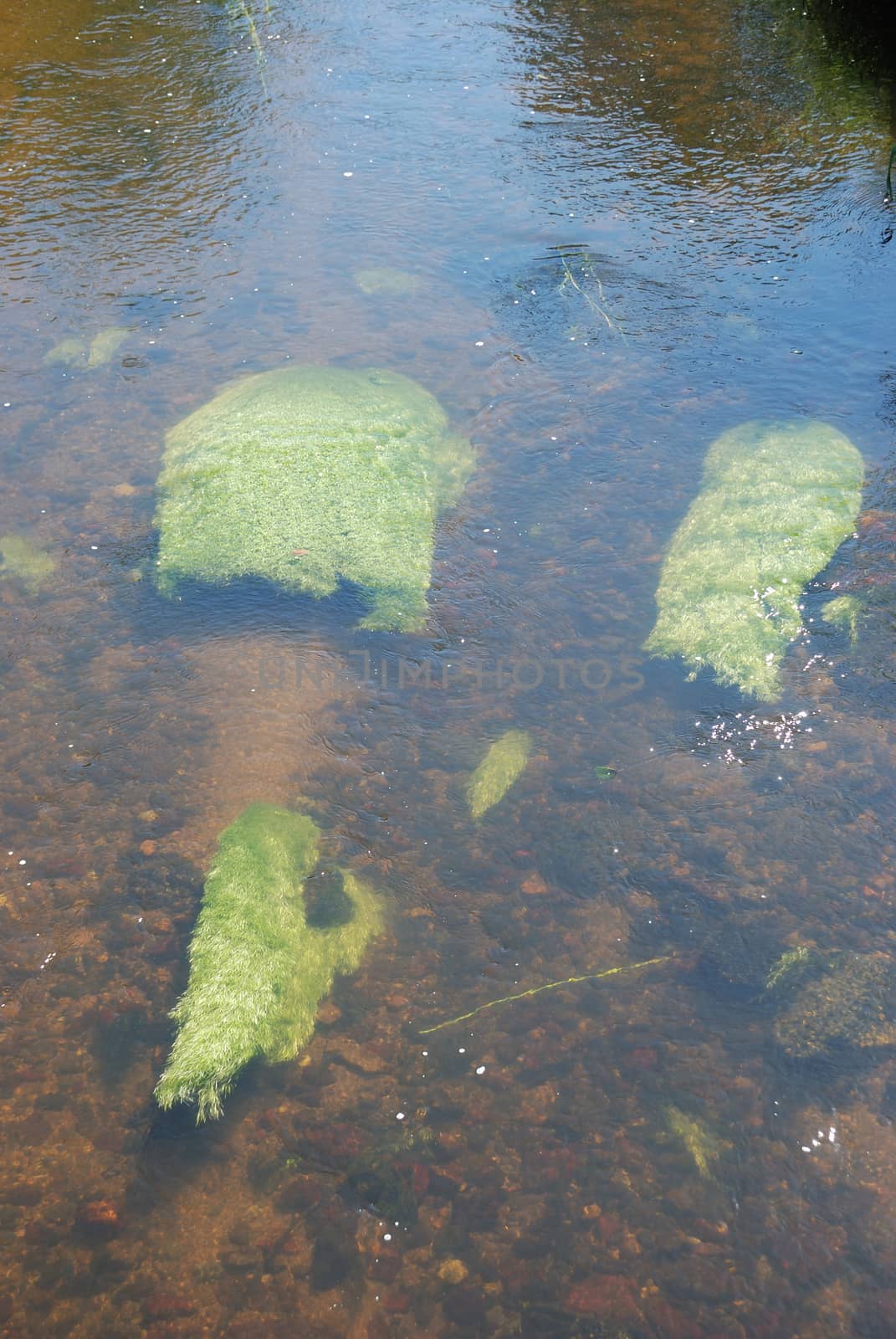 The Gouet, a river in Brittany