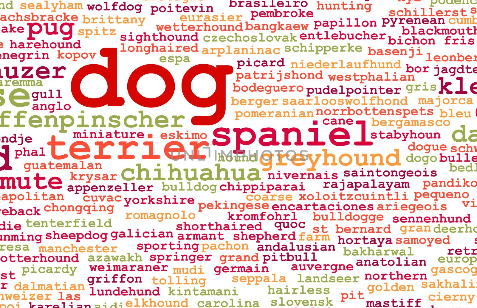 All Types of Dogs and Every Breed as Concept