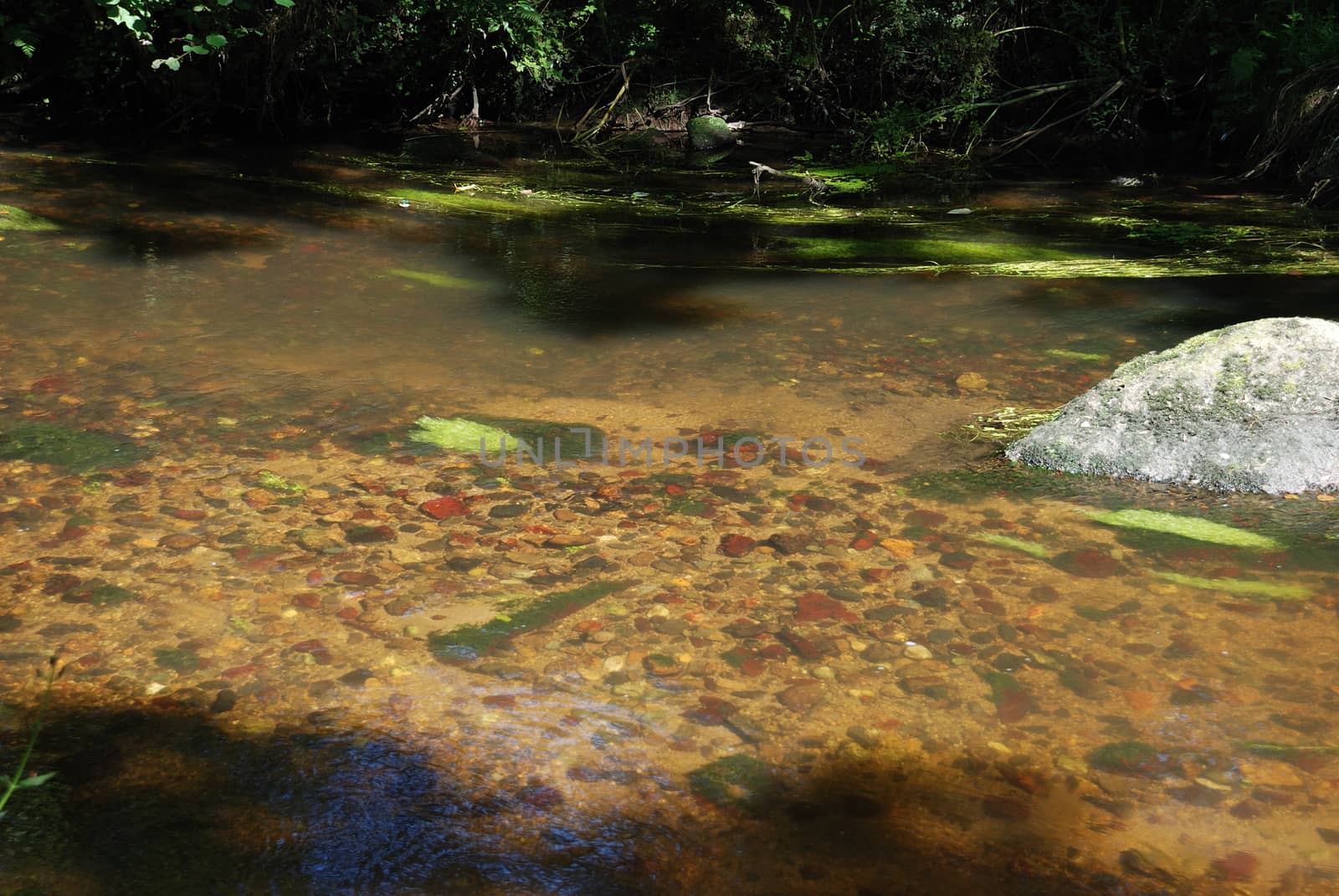 The Gouet, a river in Brittany