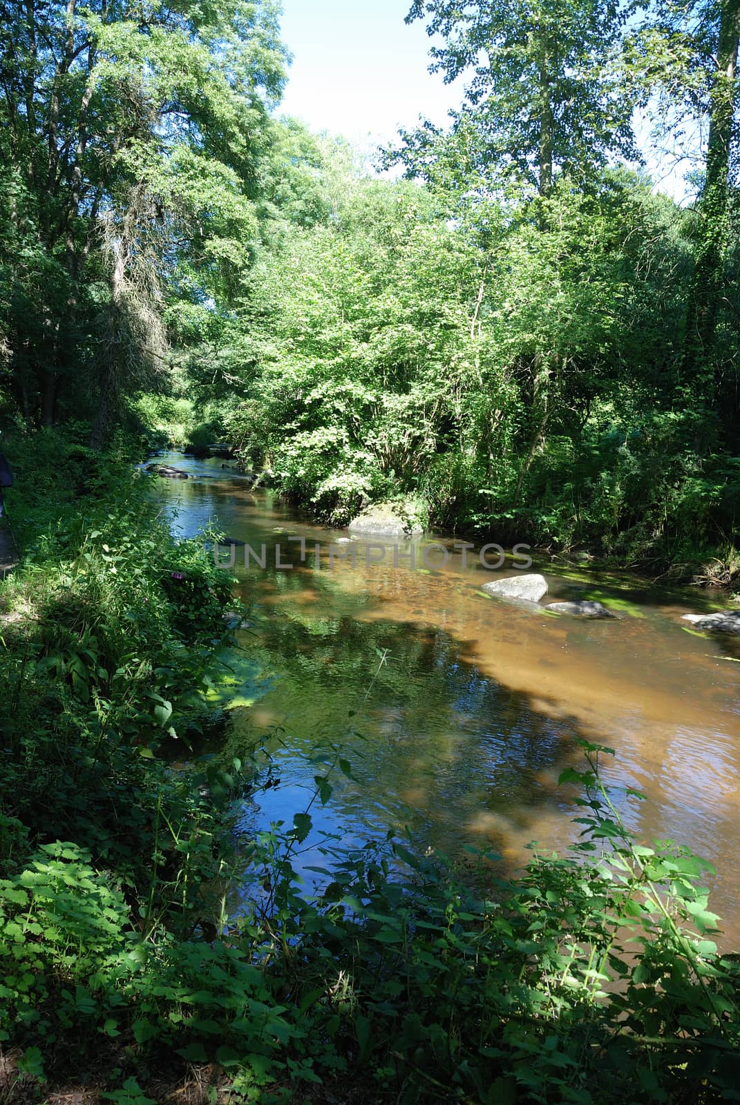 Edge of the Gouet
