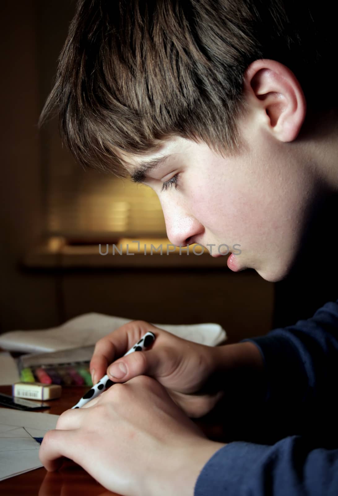 Teenager doing Homework by sabphoto