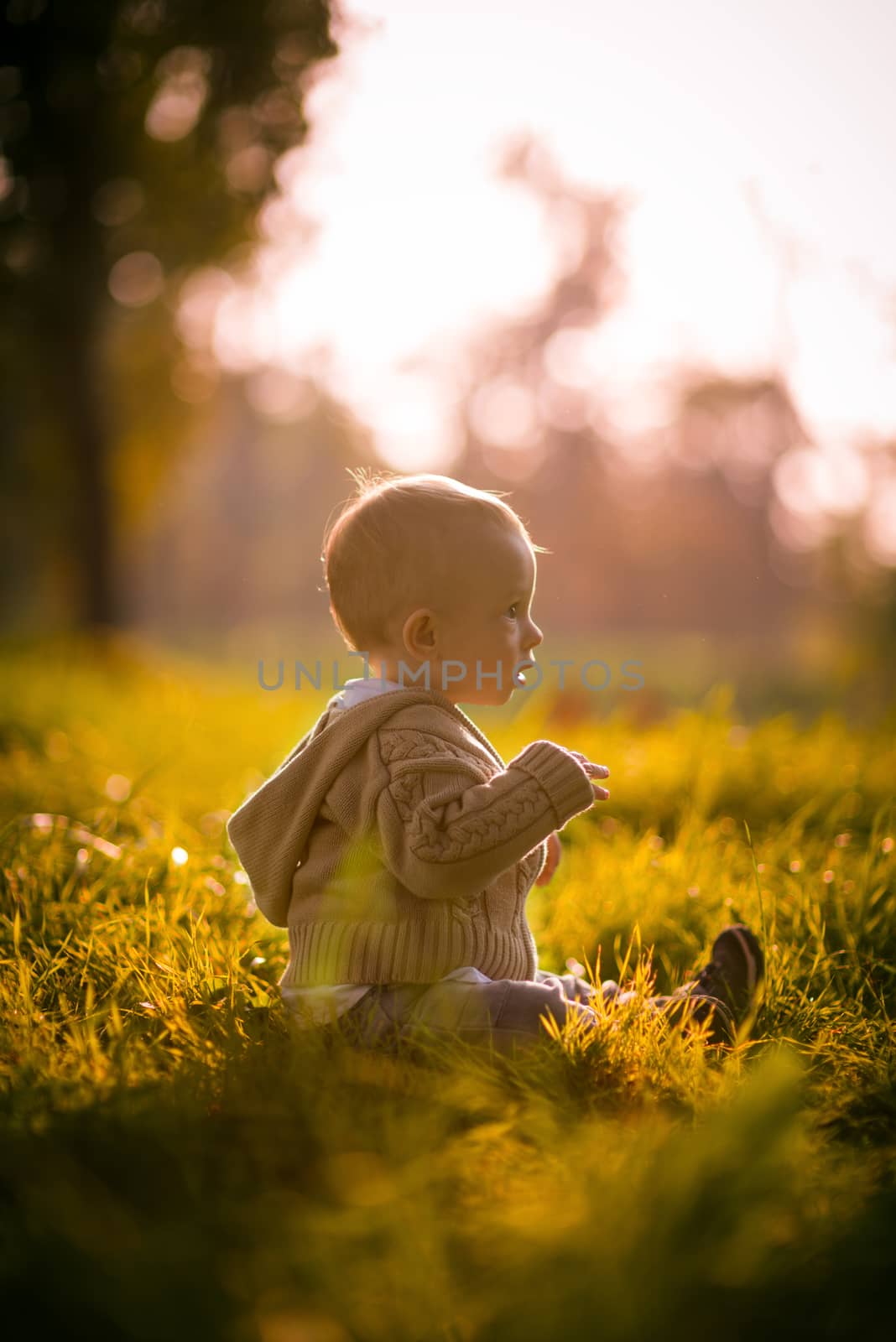 Toddler sitting on the grass in the park, shoot against the sun