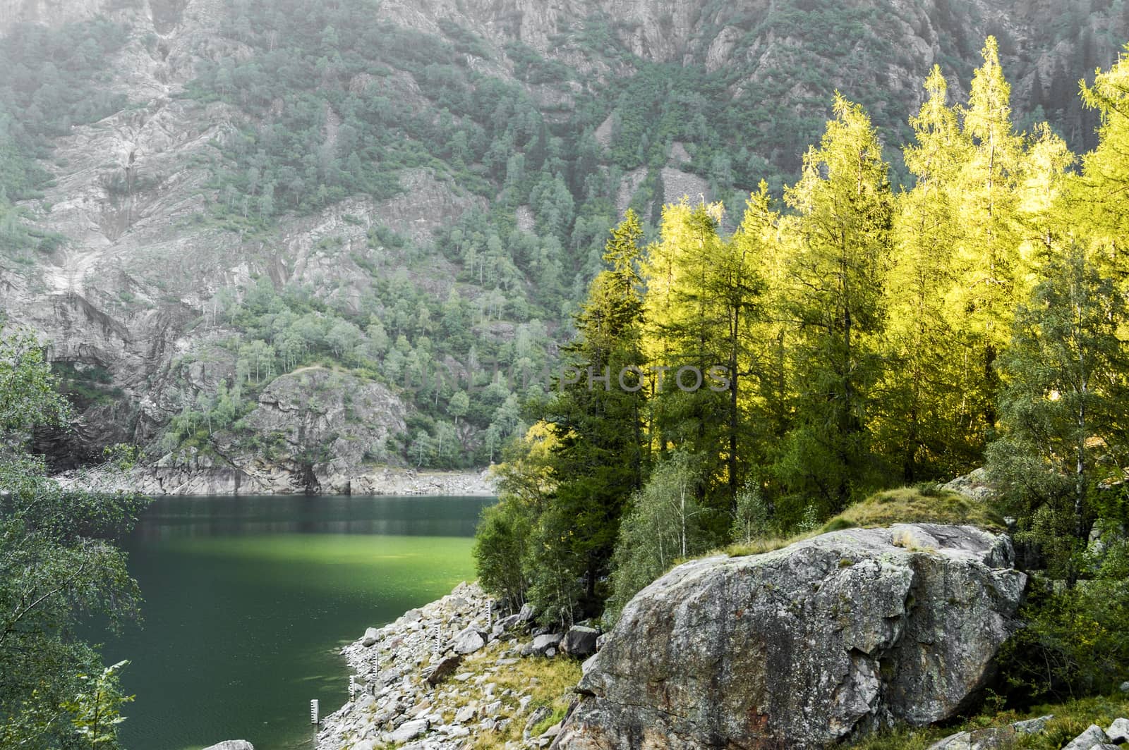 Ray of lights over the trees, Antrona lake - Piedmont, Italy