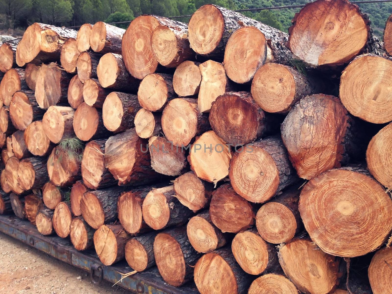 Industrial timber background