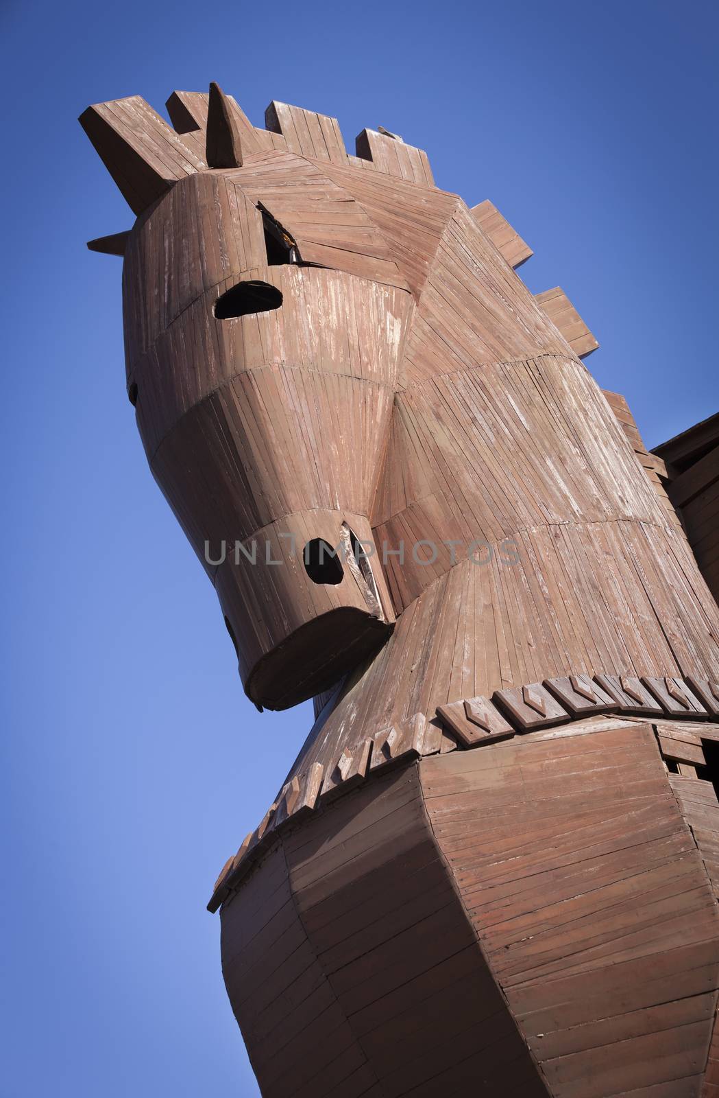 Head of Reconstructed Trojan Horse at Troy in Turkey