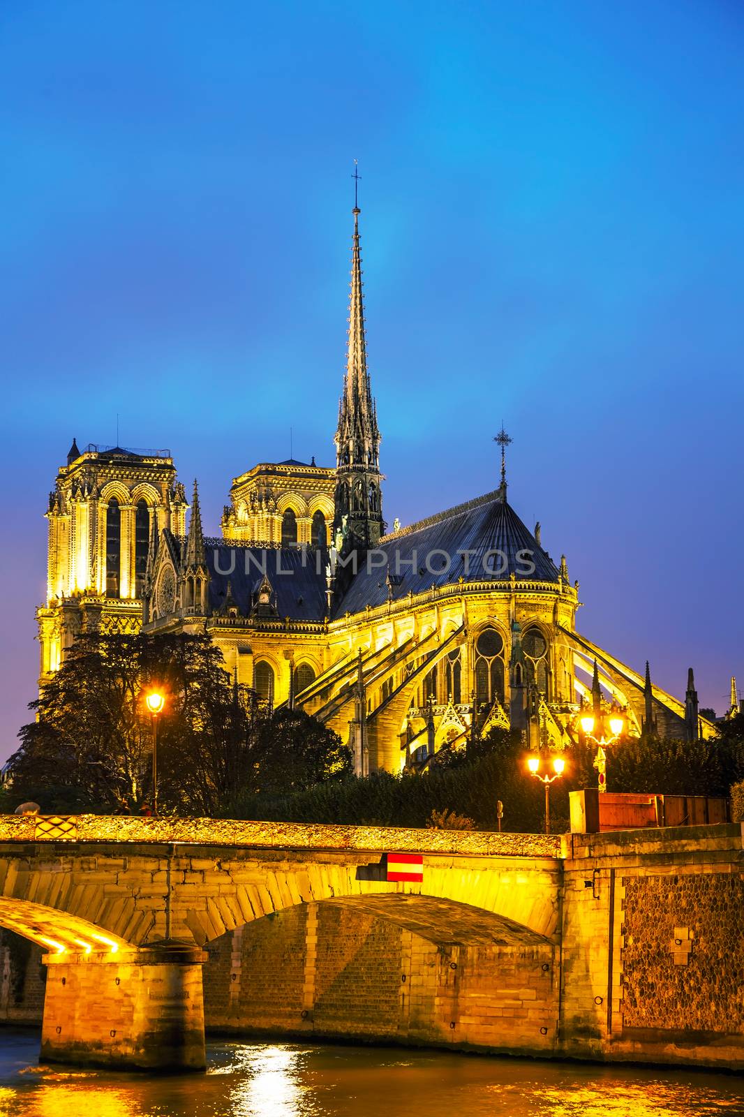 Notre Dame de Paris cathedral at night